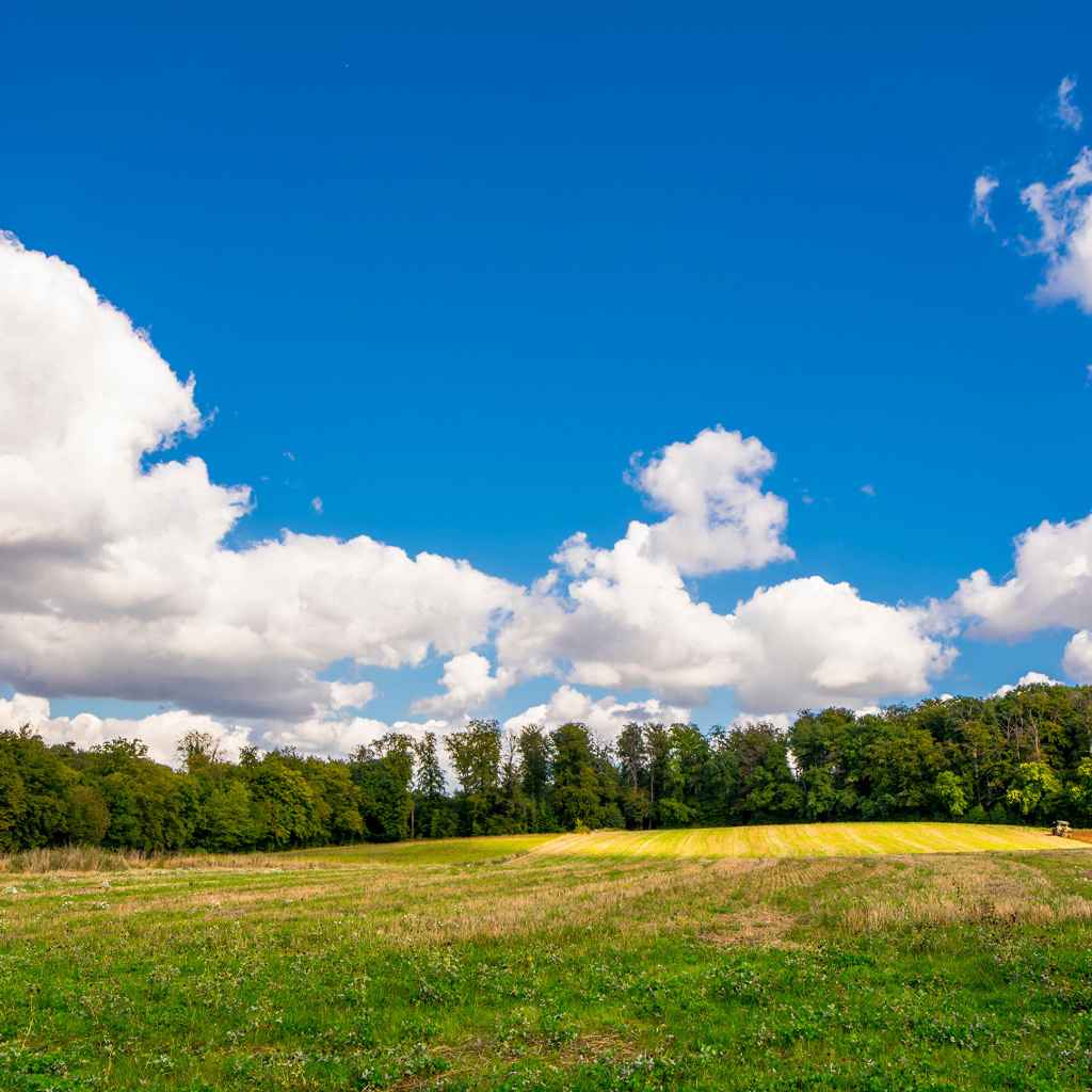 Белые густые облака над зеленым полем