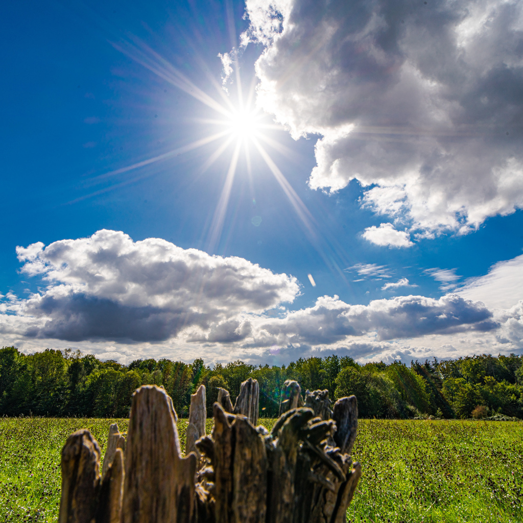 Солнце в голубом небе с белыми облаками над полем