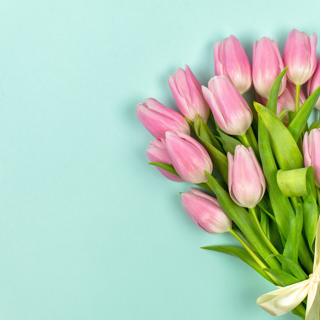 Красивый букет розовых тюльпанов с лентой на голубом фоне