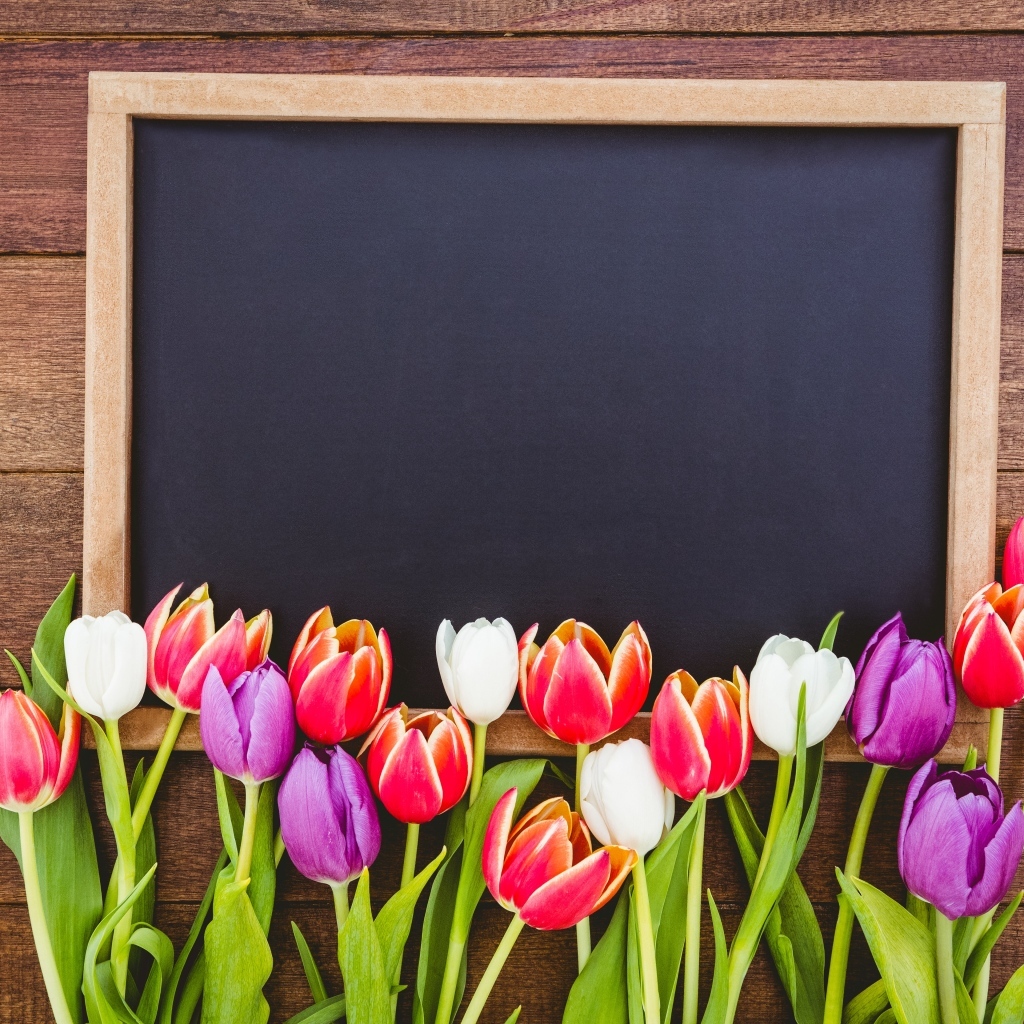 Красивые разноцветные тюльпаны с рамкой на деревянном столе