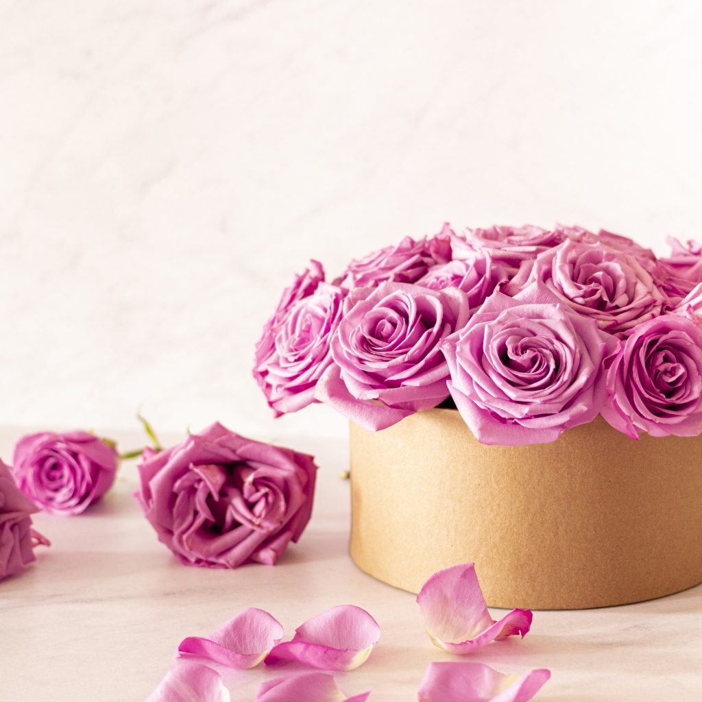 Красивые розовые розы в картонной коробке на белом фоне