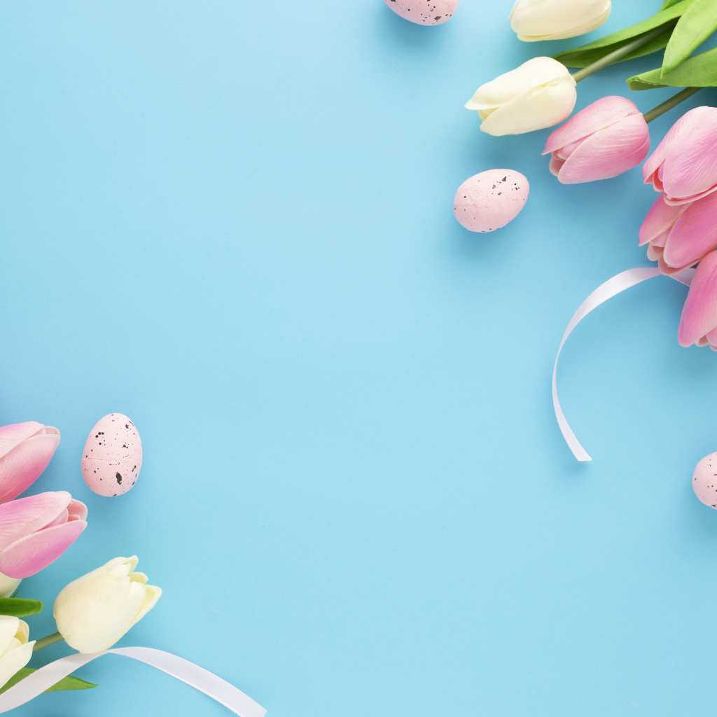 Красивые тюльпаны с яйцами на голубом фоне