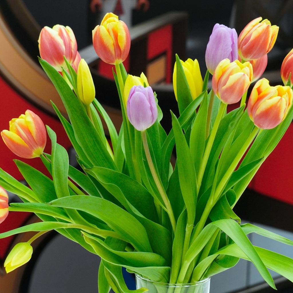 Букет красивых разноцветных тюльпанов в стеклянной вазе