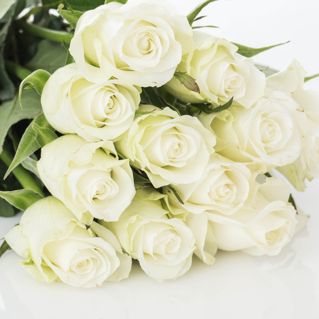 Букет шикарных белых  роз 
