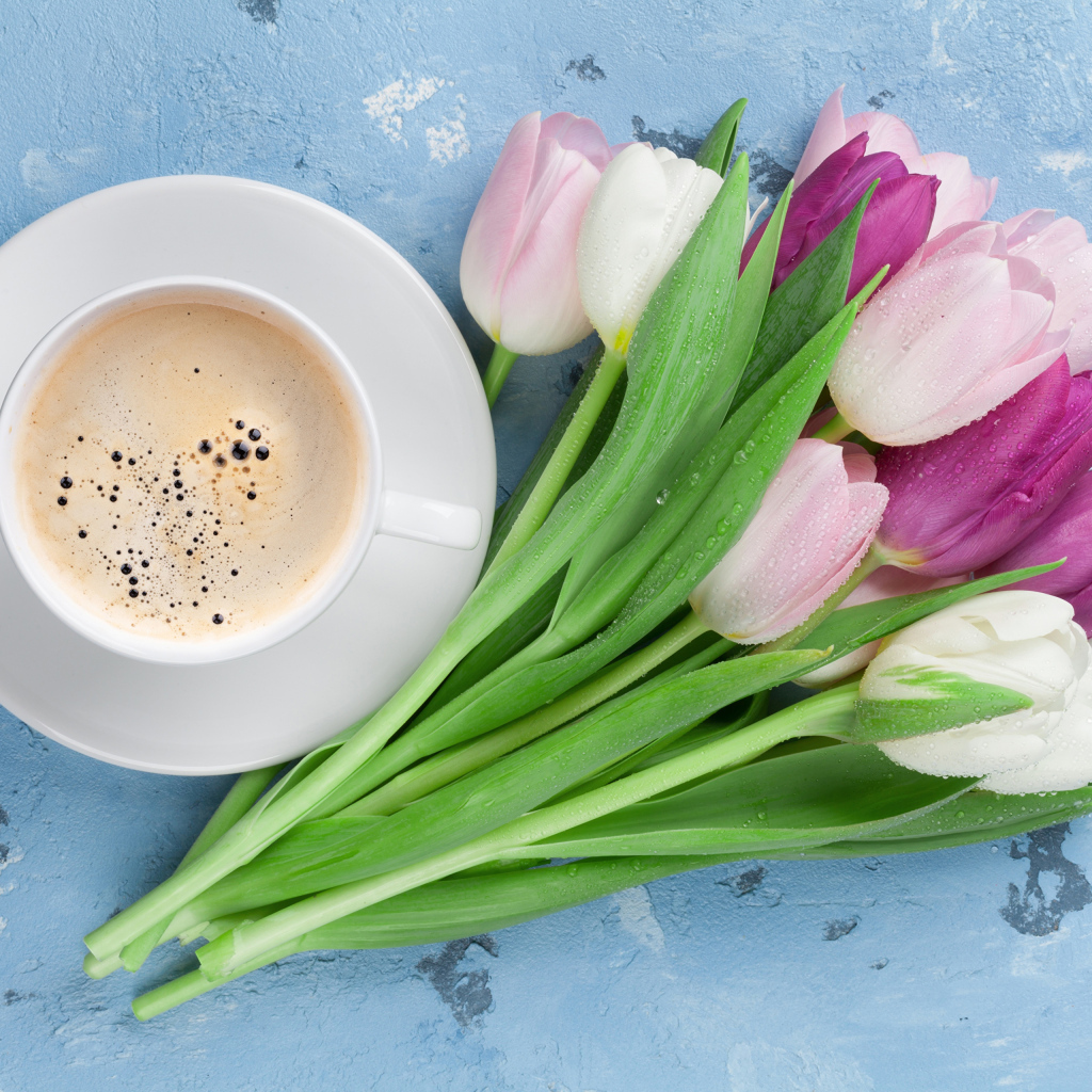 Букет разноцветных тюльпанов с чашкой кофе на голубом столе