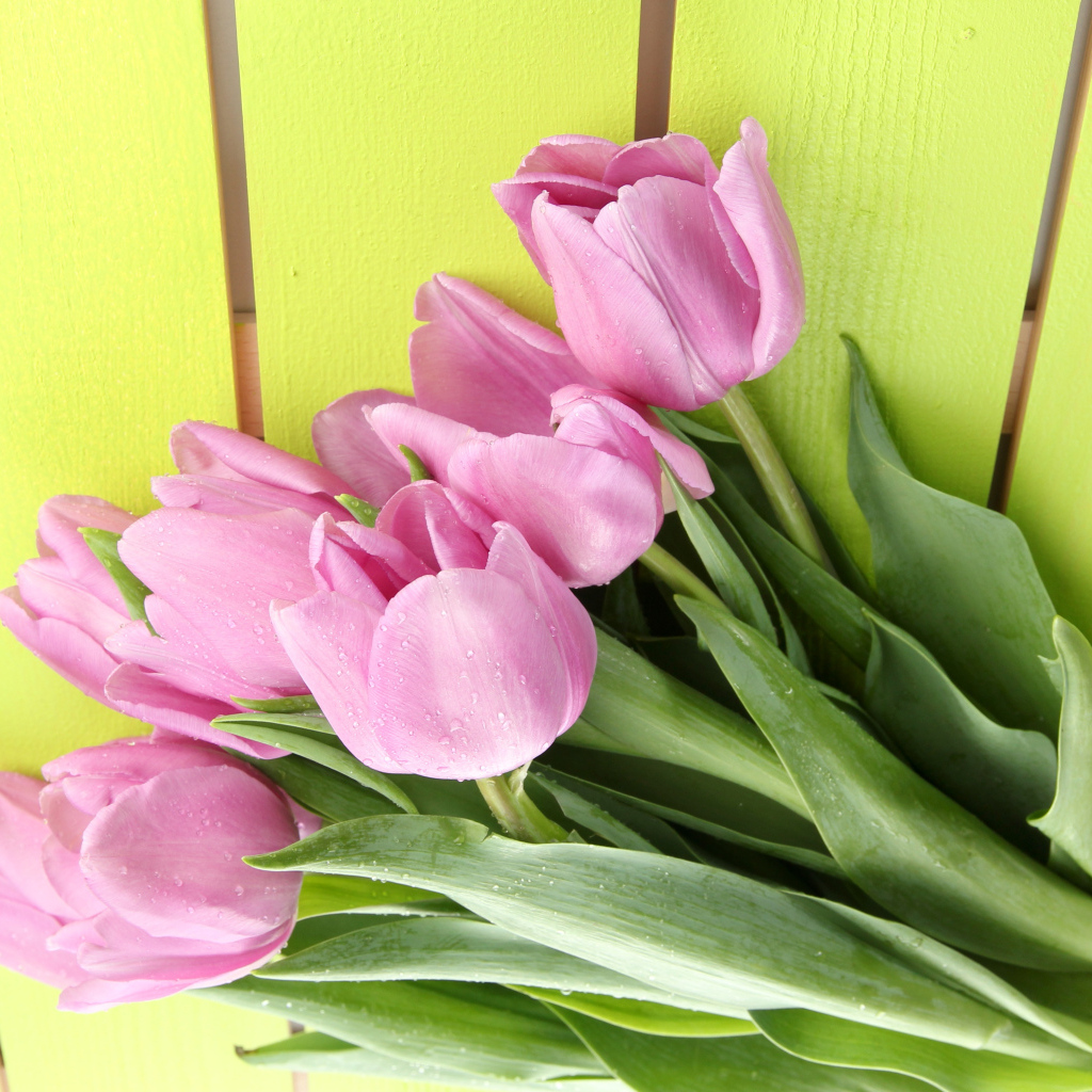 Букет розовых тюльпанов на желтом фоне