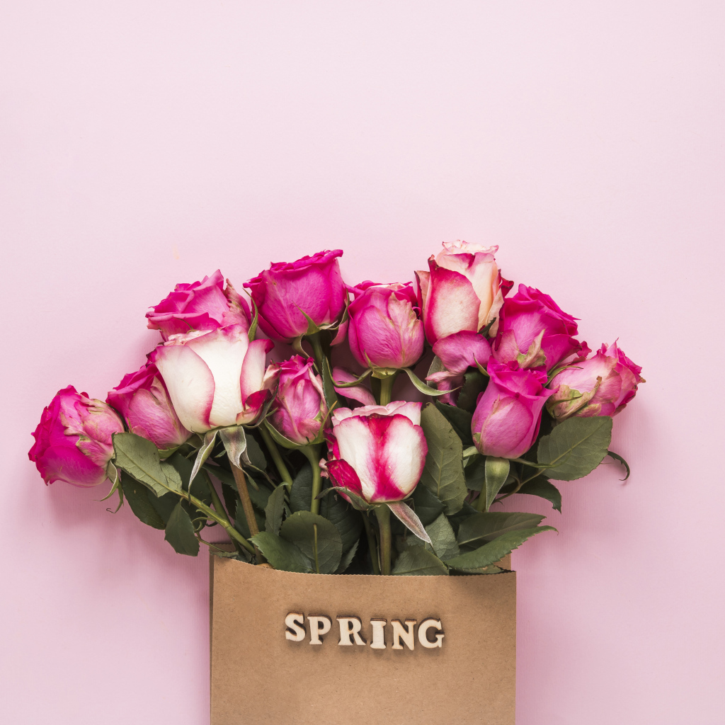 Букет роз в бумажном пакете на розовом фоне весной