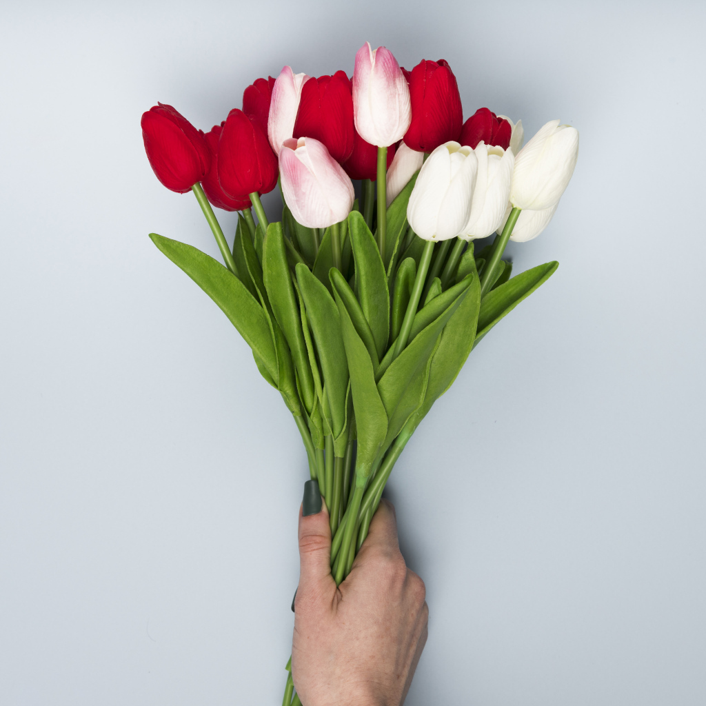 Букет белых и красных цветов тюльпана на сером фоне