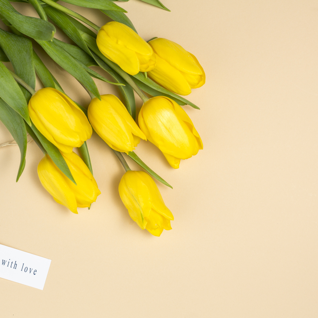 Букет желтых тюльпанов на бежевом фоне, шаблон 
