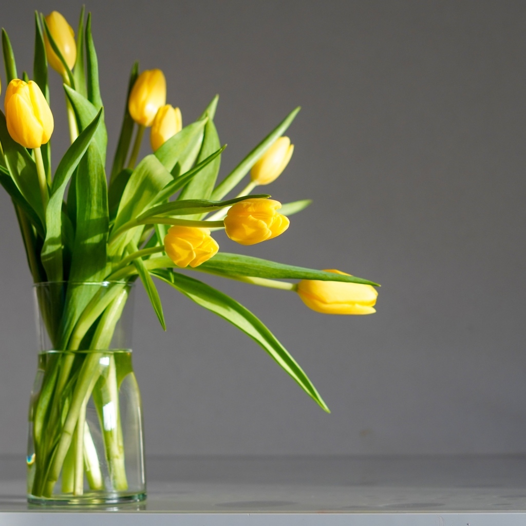 Букет желтых тюпанов с стеклянной вазе на сером фоне