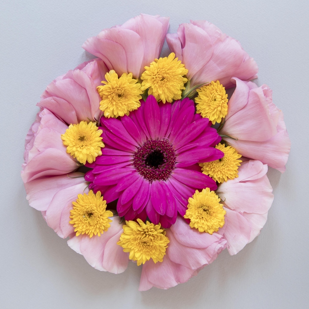 Круг из нежных цветов на сером фоне