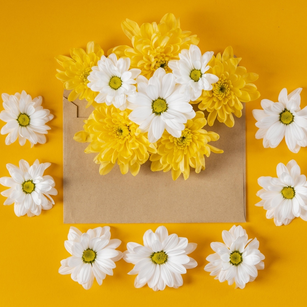 Конверт с желтыми и белыми хризантемами на желтом фоне