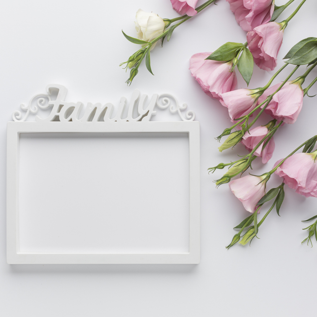 Эустома  с рамкой на белом фоне, шаблон для открытки