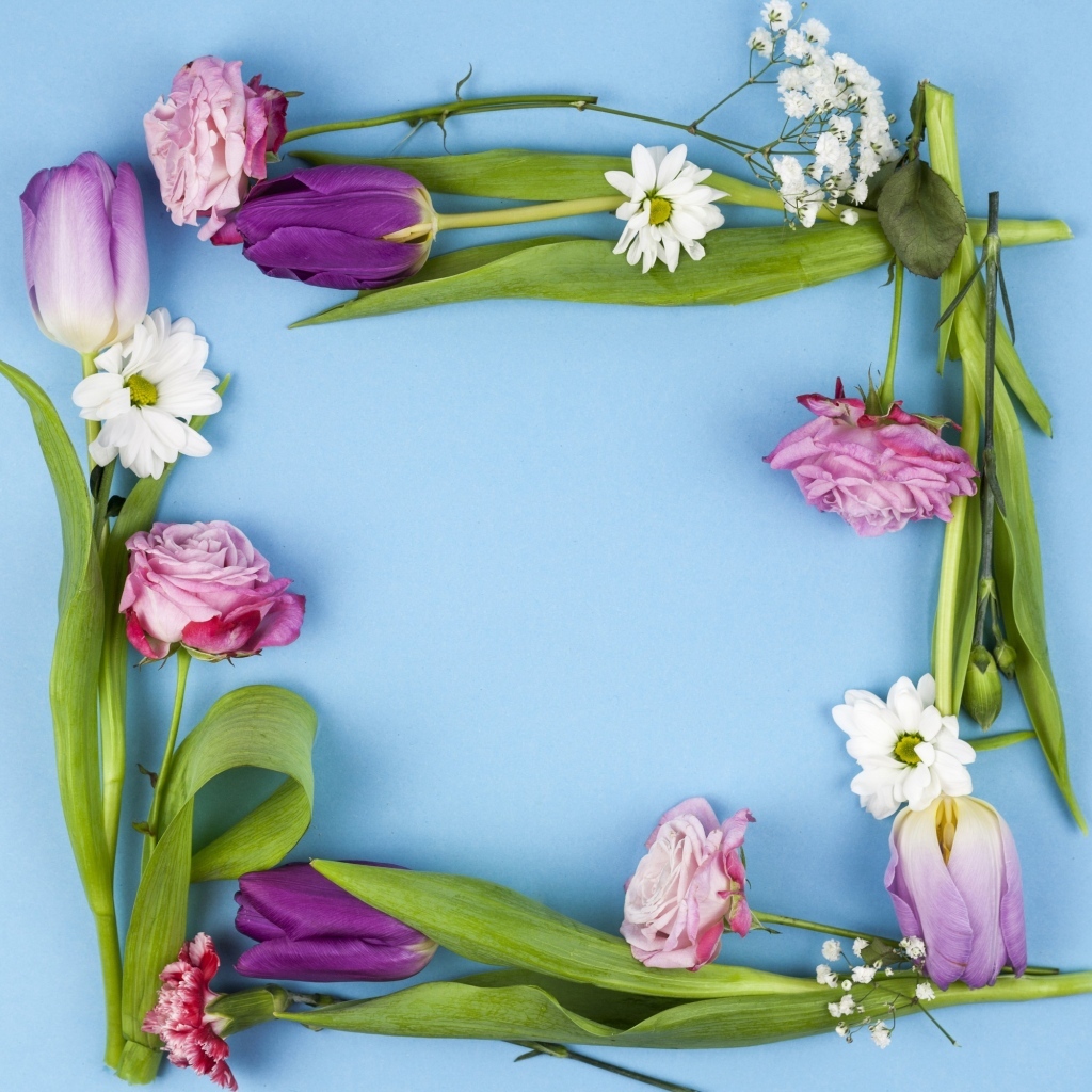 Рамка из разных цветов на голубом фоне