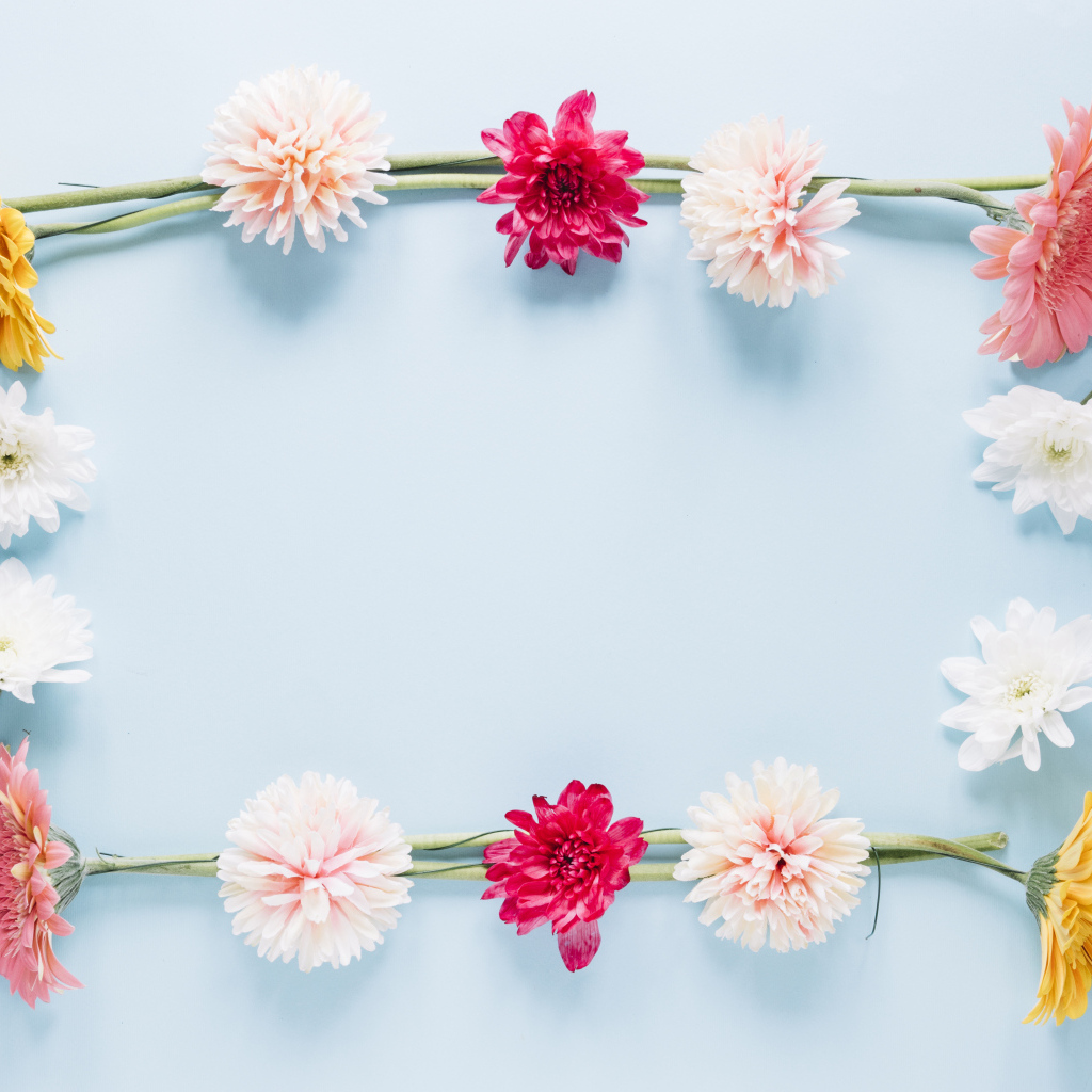 Рамка из разноцветных цветов на голубом фоне
