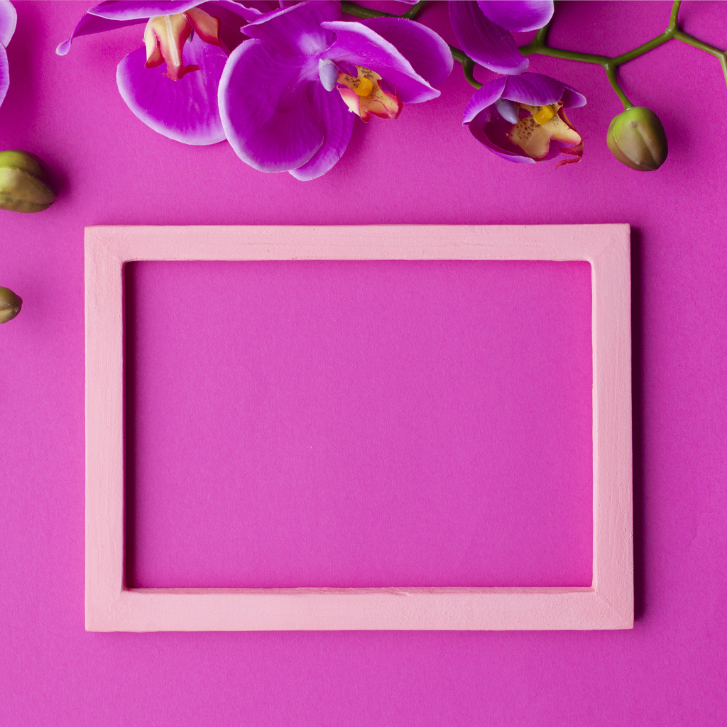 Рамка на розовом фоне с цветами орхидеи, шаблон для открытки