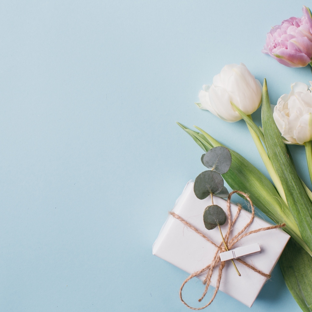 Подарок с тюльпанами на голубом фоне