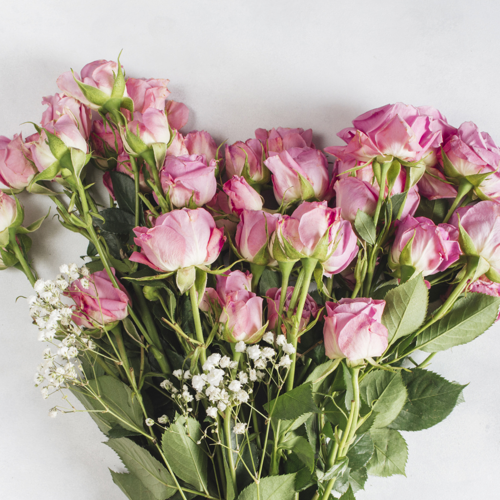 Большой букет розовых роз на сером фоне