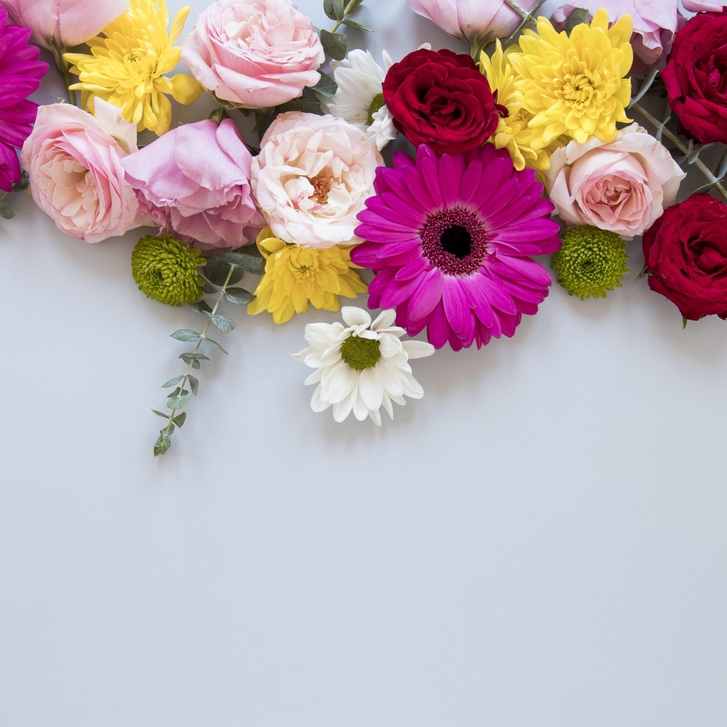 Разноцветные цветы на сером фоне