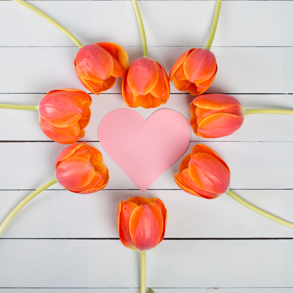 Оранжевые тюльпаны с розовым сердцем на сером столе