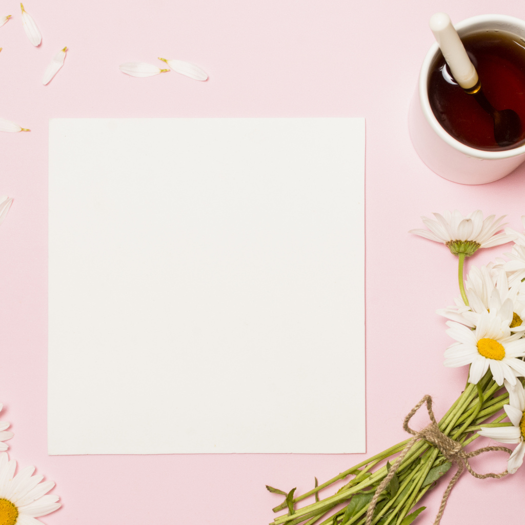 Розовый фон с ромашками, чашкой чая и белым листом бумаги, шаблон