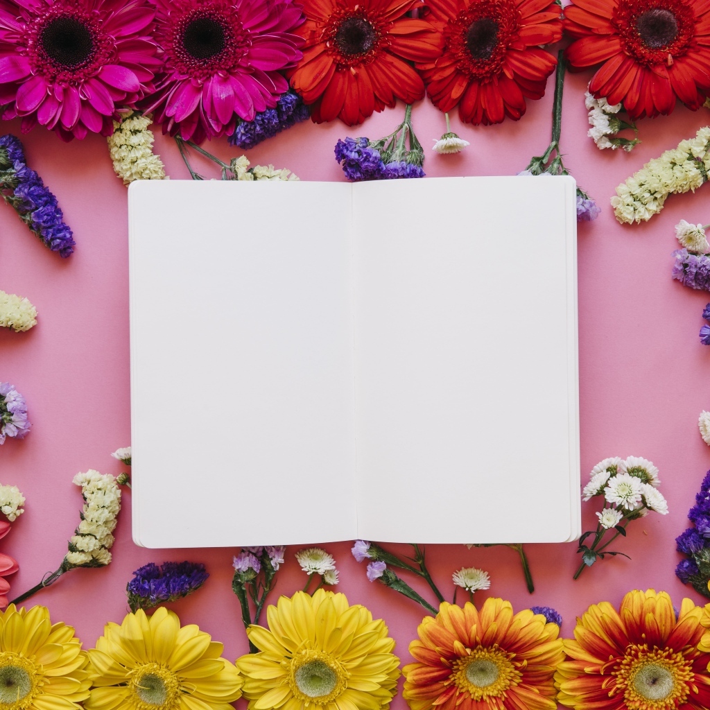 Розовый фон с герберами и белым листом для открытки