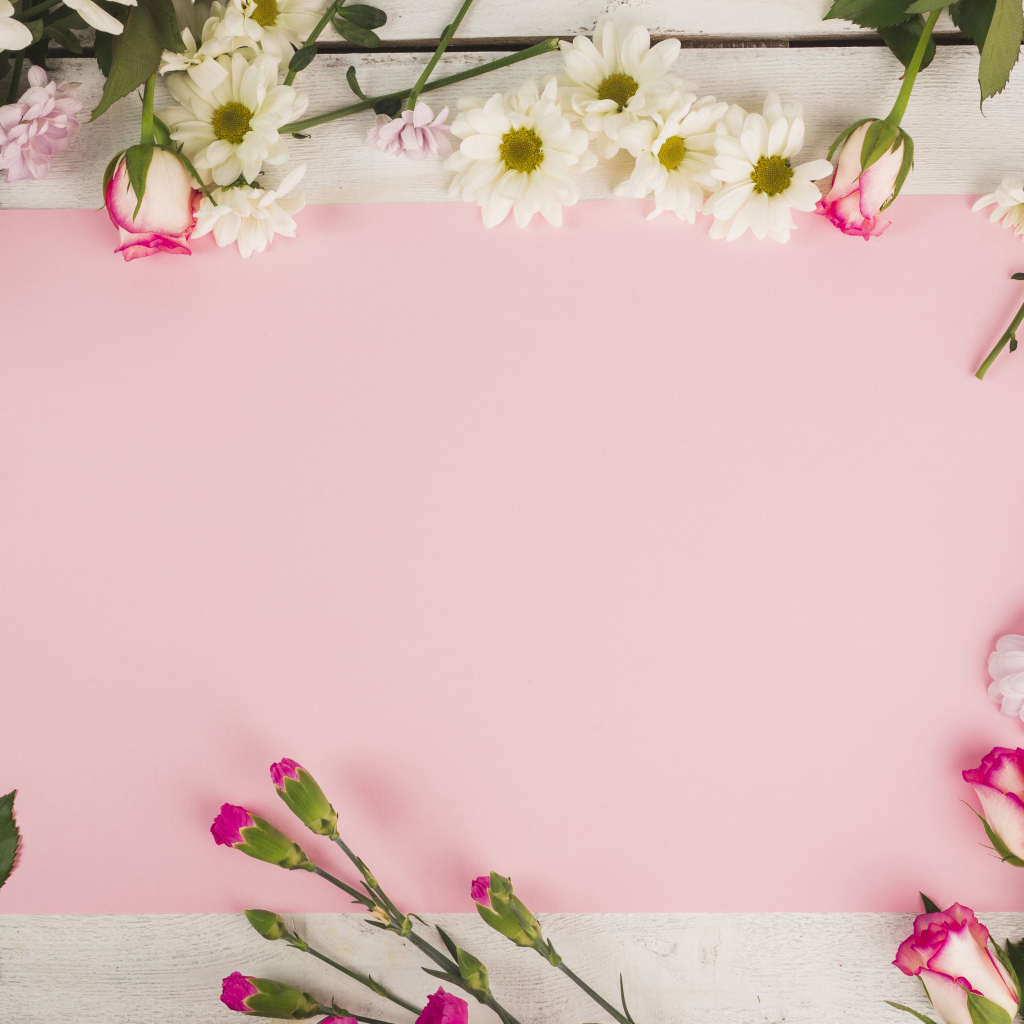 Розовый лист бумаги для открытки с цветами хризантемы