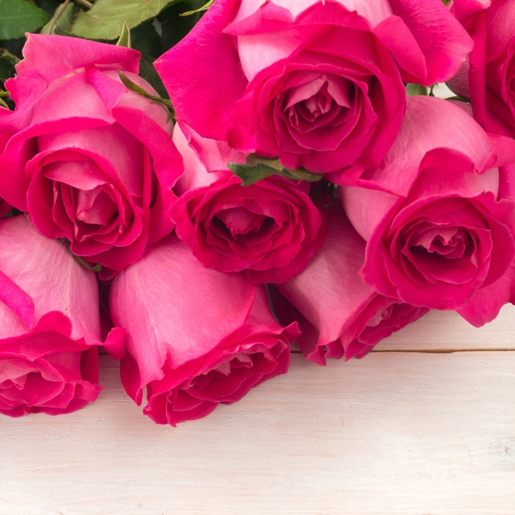 Бутоны розовых роз крупным планом