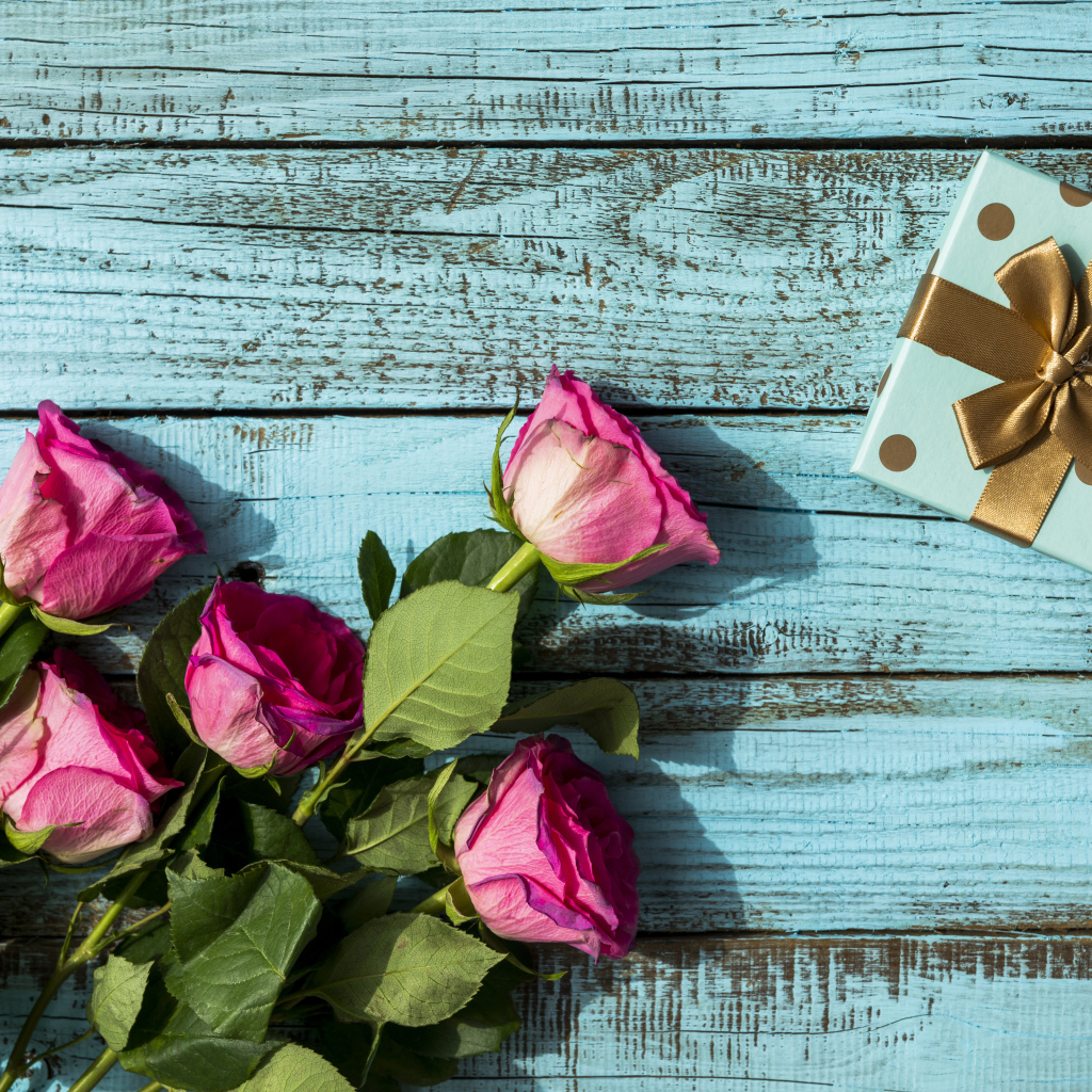 Розовые розы с подарком на голубом фоне на день рождения