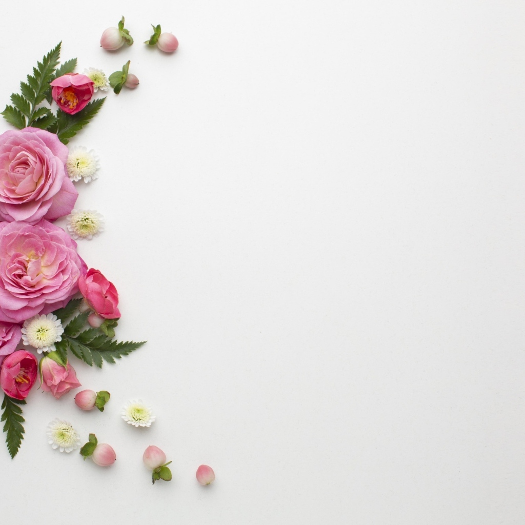 Розовые розы с зелеными листьями на сером фоне