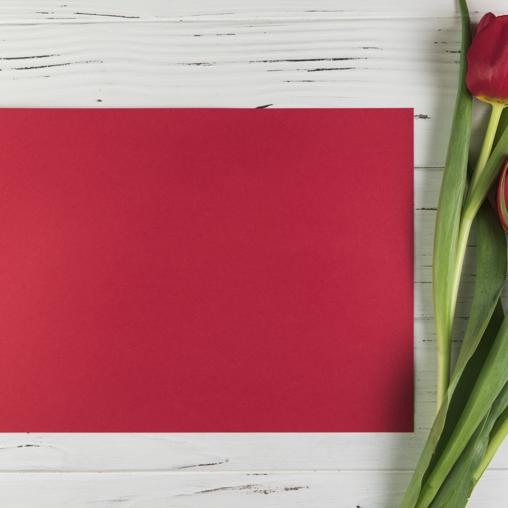 Красный лист бумаги с тюльпанами для шаблона поздравительной открытки