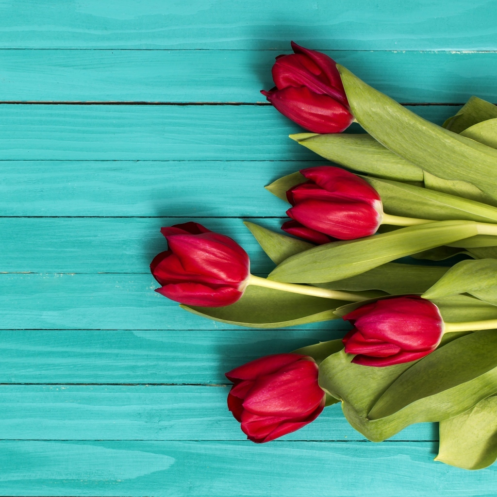 Красные тюльпаны на голубом деревянном фоне