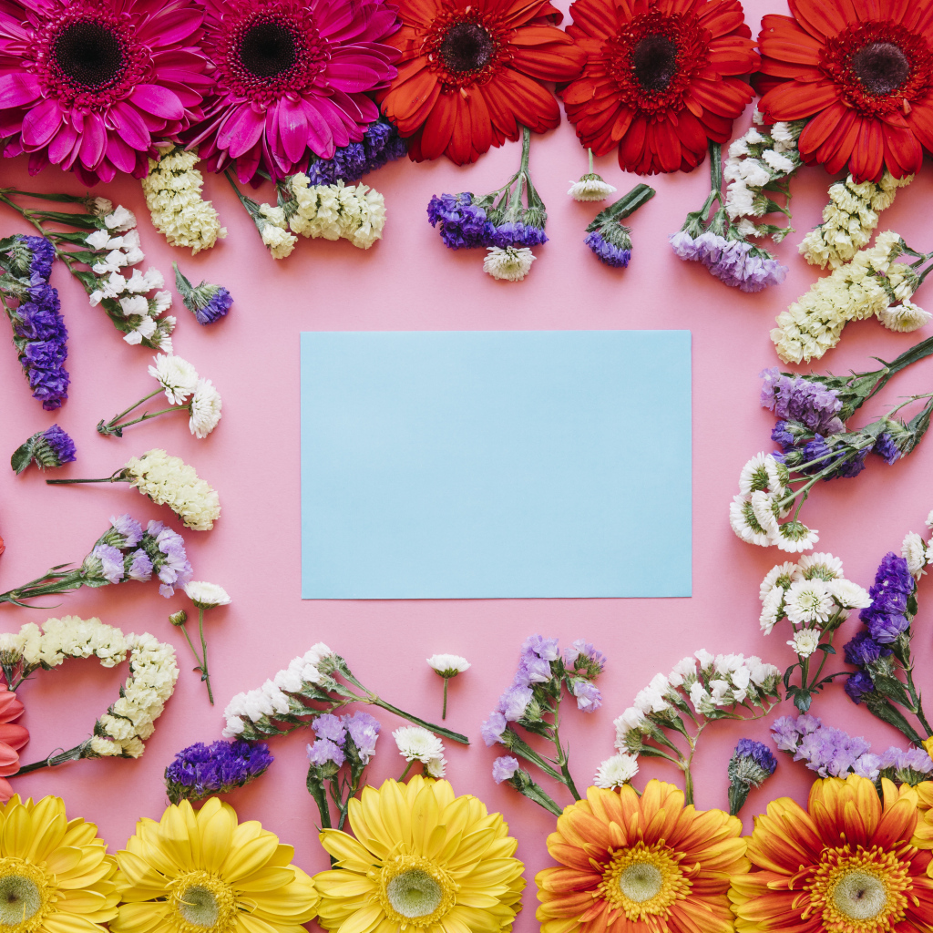 Лист бумаги и герберы на розовом фоне, шаблон