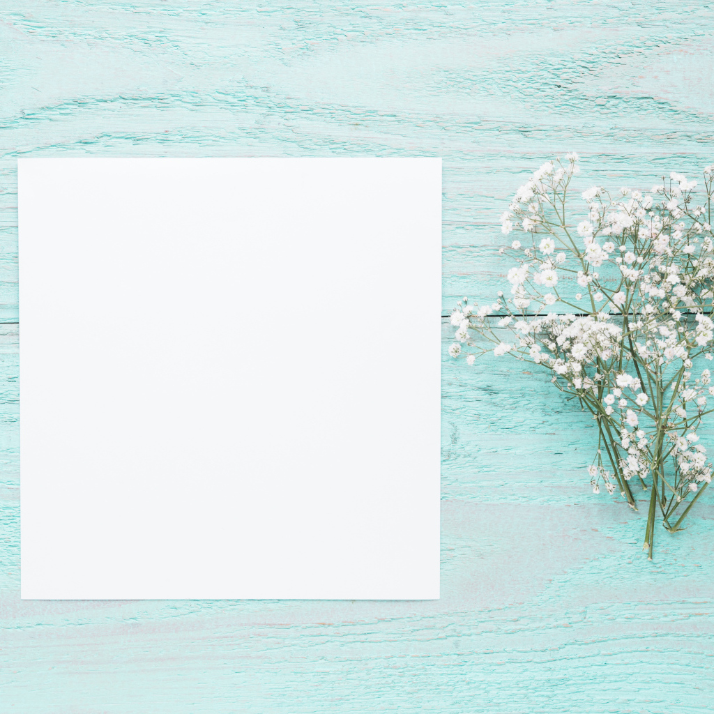 Лист бумаги с белыми цветами гипсофилы на голубом столе