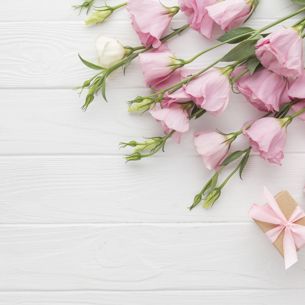 Нежна розовая эустома с подарками на белом фоне