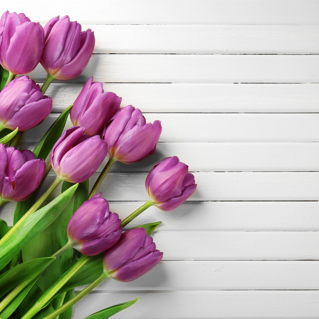 Тюльпаны на белом деревянном фоне
