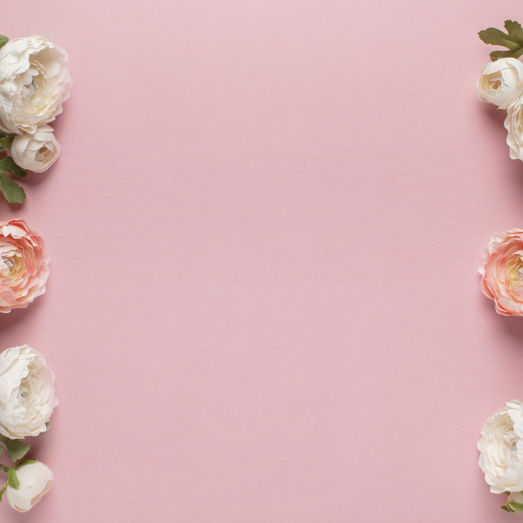 Белые и розовые лютики на розовом фоне, шаблон 