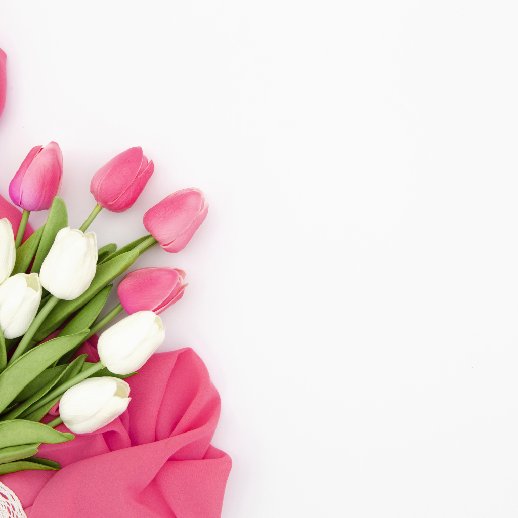 Белые и розовые тюльпаны с тканью на белом фоне, шаблон 
