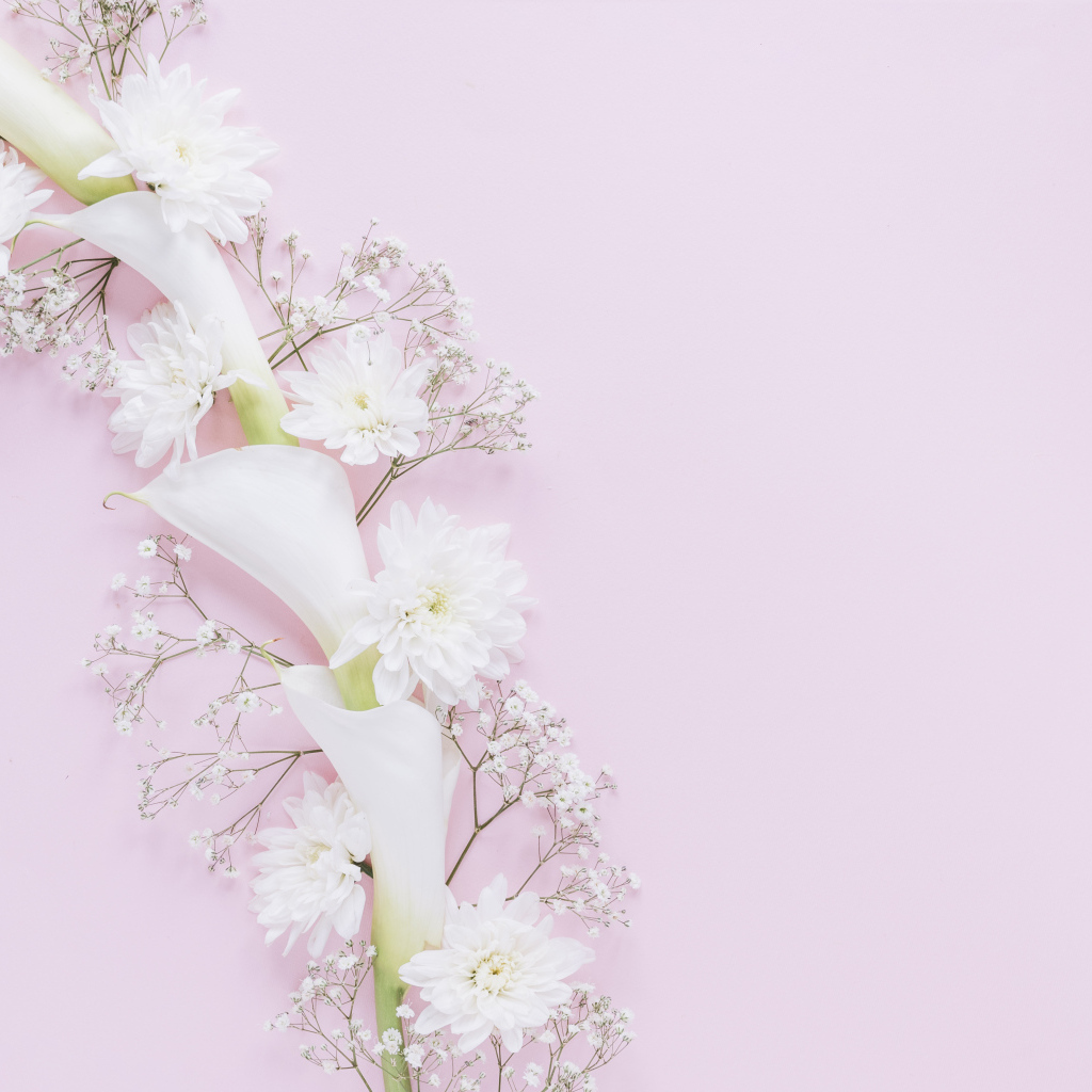 Белые цветы каллы и хризантемы на розовом фоне