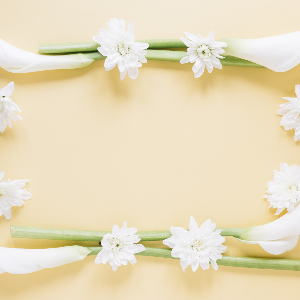 Белые каллы с хризантемами на желтом фоне