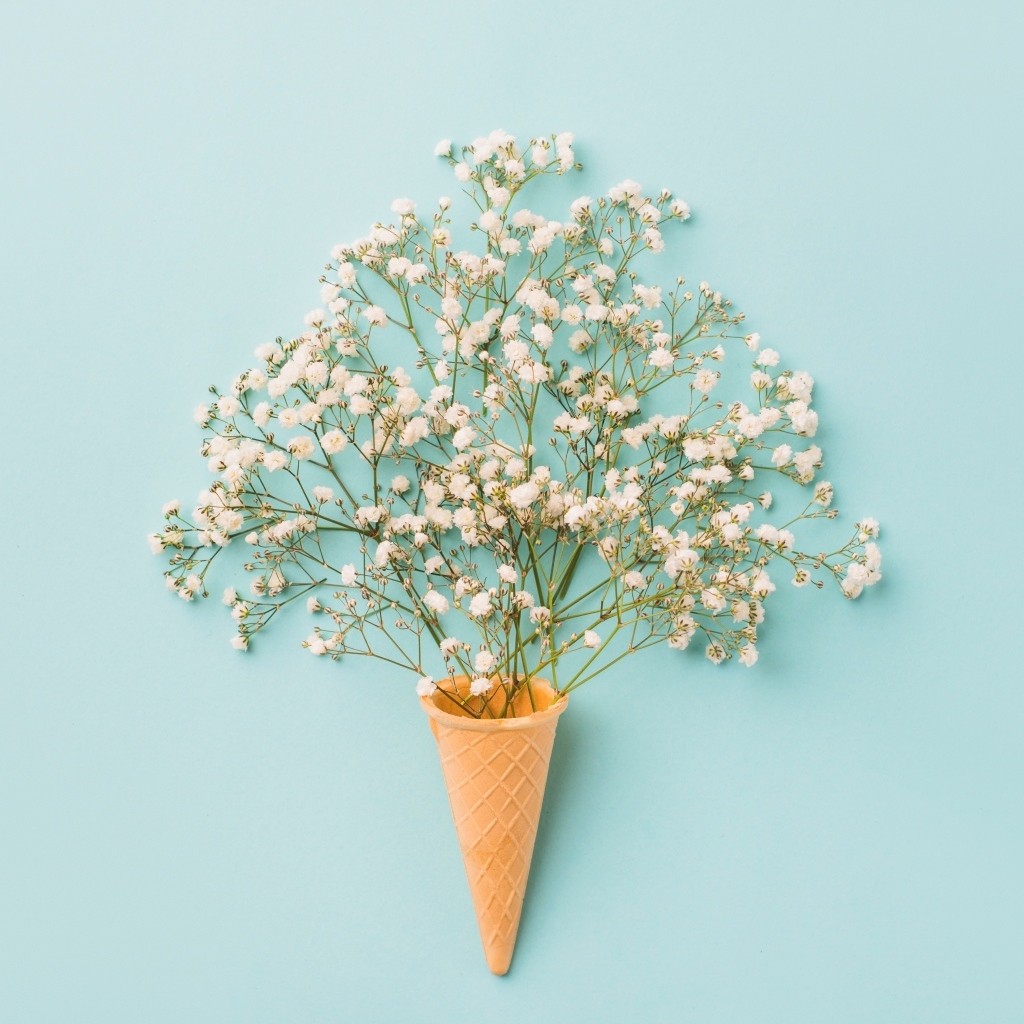 Белые цветы с вафельным рожком на голубом фоне