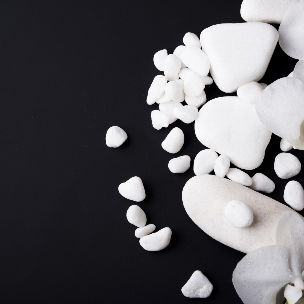 Белые орхидеи с камнями на черном фоне