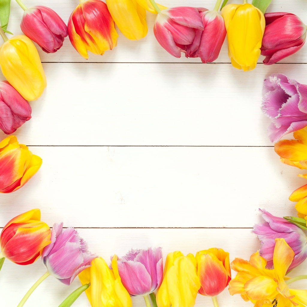 Белый деревянный фон с разноцветными тюльпанами