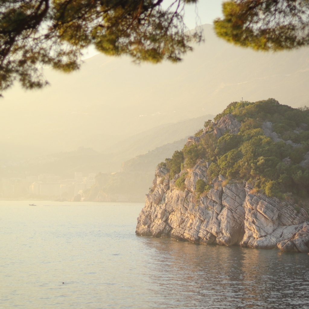 Скала покрытая зеленью на берегу океана