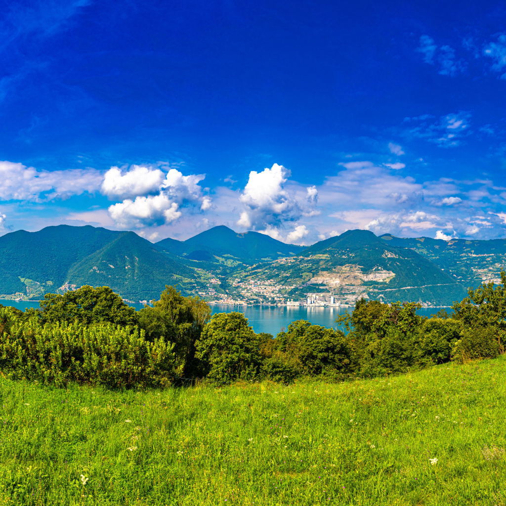 Красивая панорама на горы и зеленую траву