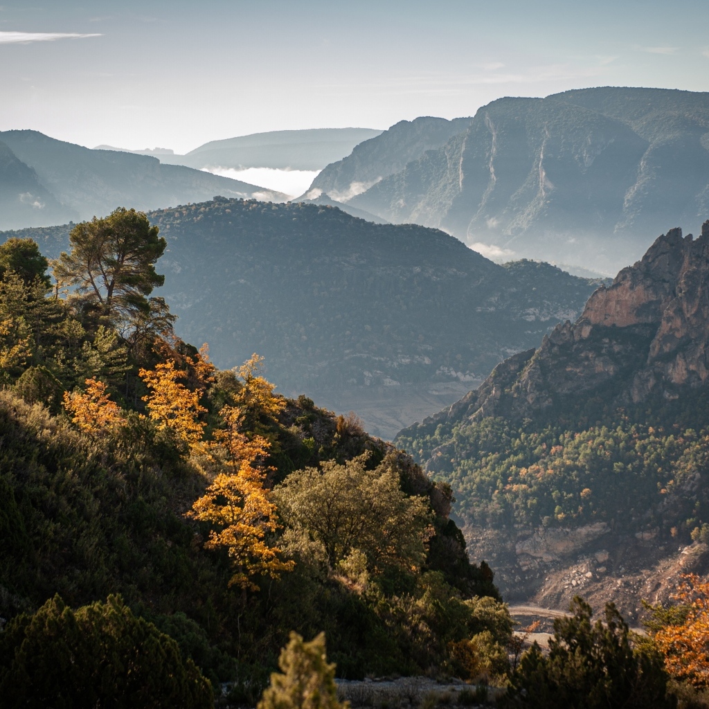 Красивый вид на бескрайний горный горизонт