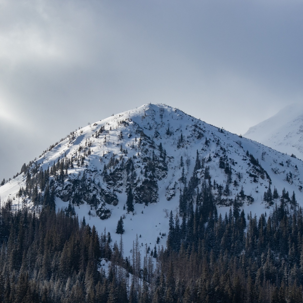 Высокая заснеженная гора под пасмурным небом