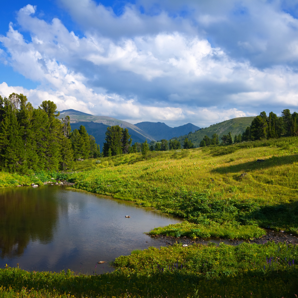 Живописная зеленая горная природа