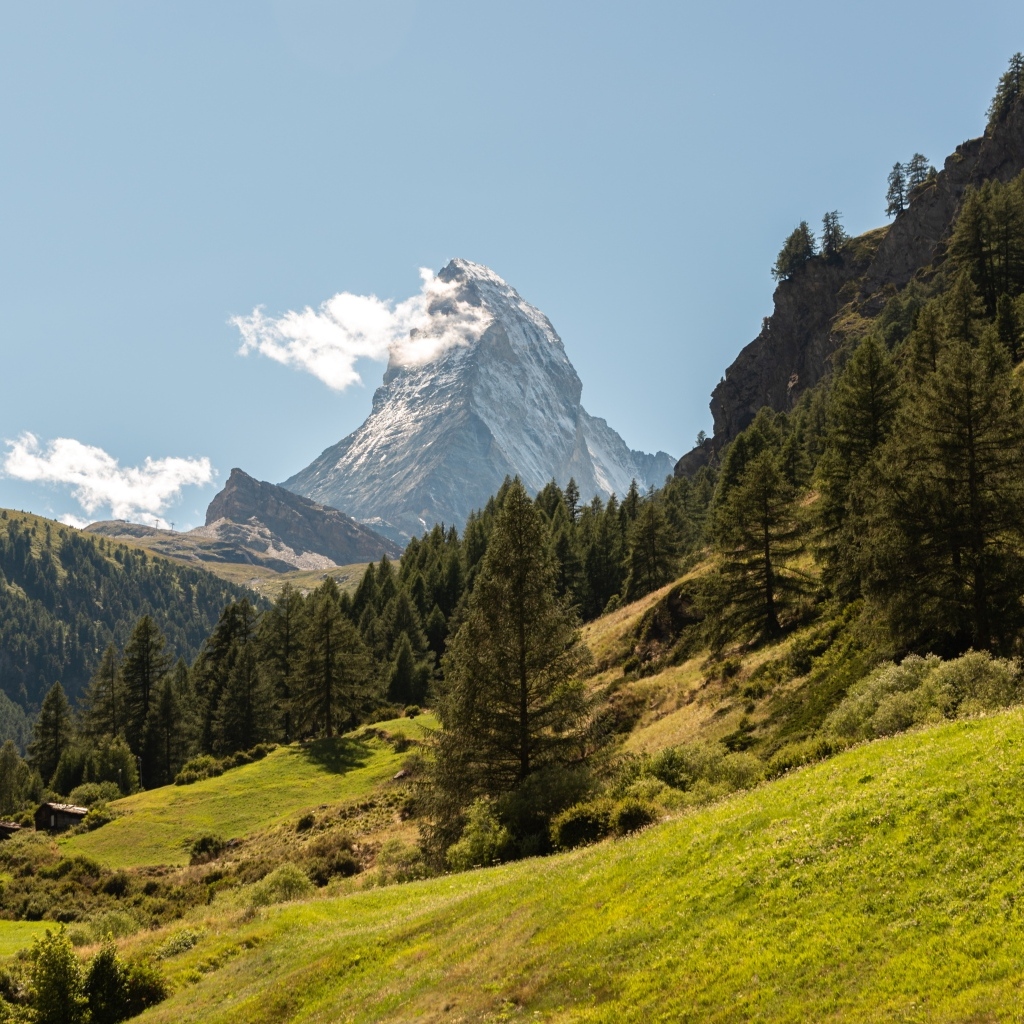 Вид на лес и высокую горную вершину