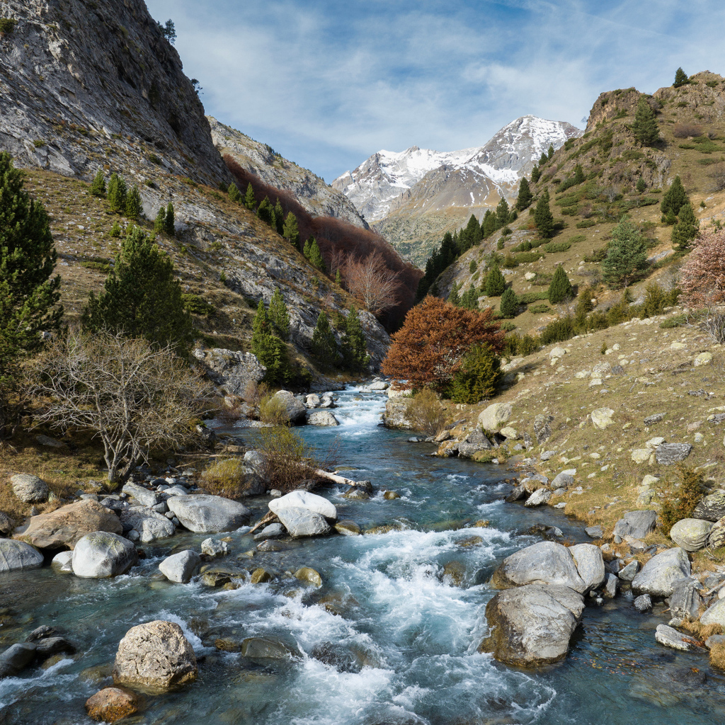 Быстрая река в горном ущелье 